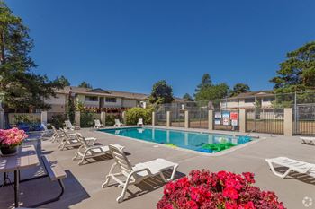 Sparkling pool and large deck